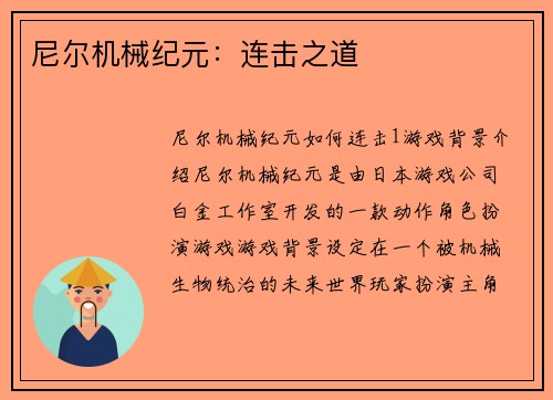 尼尔机械纪元：连击之道